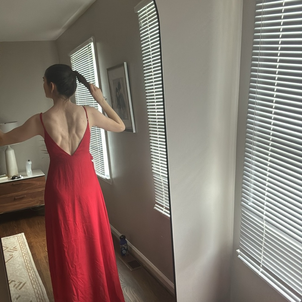 Show Me Your Mumu Dress - Picture 4 of 5
